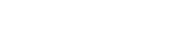 The INSIDE Network